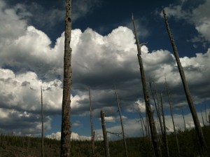 Big Sky over Mallard Lake